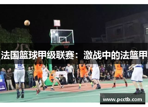 法国篮球甲级联赛：激战中的法篮甲